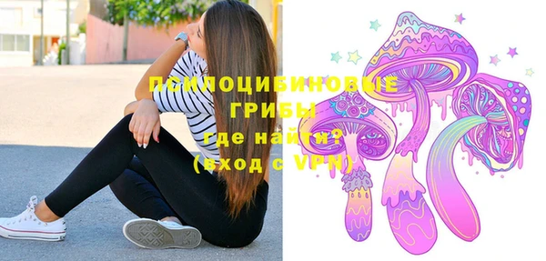 сатива Абаза